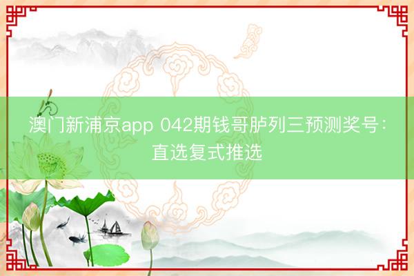 澳门新浦京app 042期钱哥胪列三预测奖号:直选复式推选