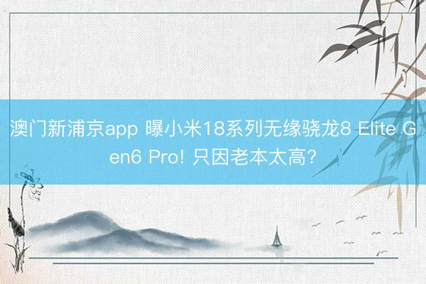 澳门新浦京app 曝小米18系列无缘骁龙8 Elite Gen6 Pro! 只因老本太高?