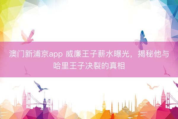 澳门新浦京app 威廉王子薪水曝光，揭秘他与哈里王子决裂的真相