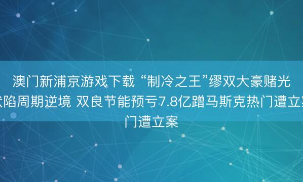 澳门新浦京游戏下载 “制冷之王”缪双大豪赌光伏陷周期逆境 双良节能预亏7.8亿蹭马斯克热门遭立案