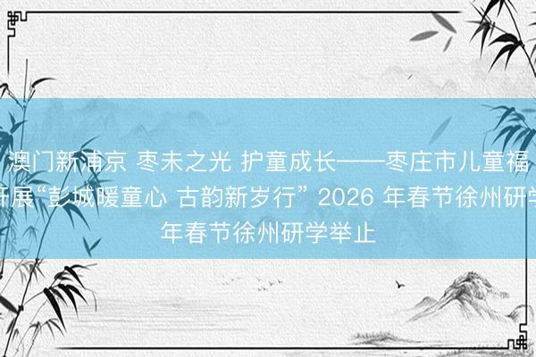 澳门新浦京 枣未之光 护童成长——枣庄市儿童福利院开展“彭城暖童心 古韵新岁行” 2026 年春节徐州研学举止