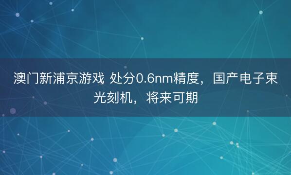 澳门新浦京游戏 处分0.6nm精度，国产电子束光刻机，将来可期